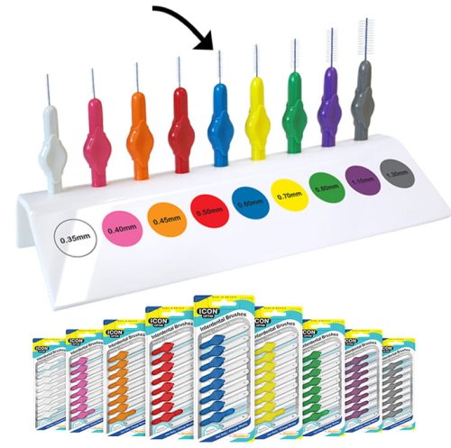 Szczoteczki Stoddard niebieska.jpg