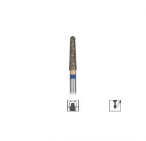 olidental 0537-3.jpg