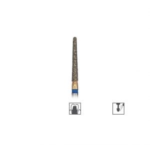 olidental 0540-3.jpg