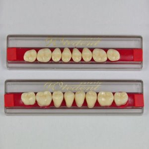 Zęby Wiedent  N2-65G